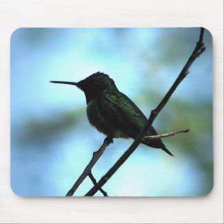 Hummingbird Mousepad