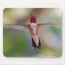 Hummingbird mousepads