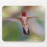 Hummingbird Mouse Mats