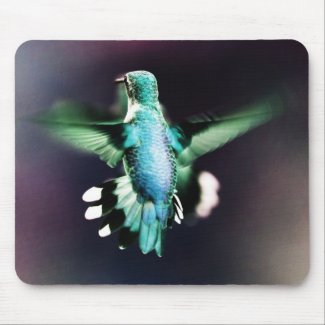 Hummingbird Mousepad