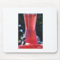 HummingBird Mouse Pad