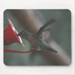 Hummingbird Mousepad
