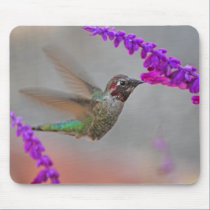 Hummingbird Mousepad mousepads
