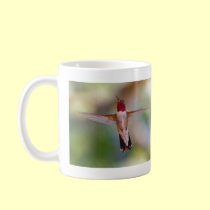 hummingbird mugs