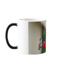 HUMMINGBIRD mugs by crrfan HUMMINGBIRD mugs