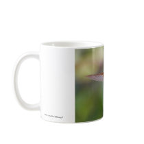 Hummingbird Mug