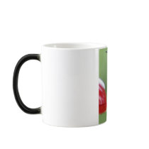 HUMMINGBIRD mugs by crrfan HUMMINGBIRD mugs