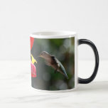 Hummingbird, mug
