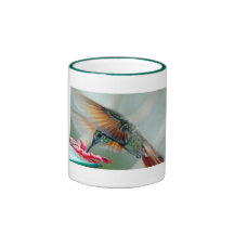 hummingbird mug