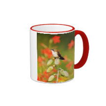 Hummingbird Mug