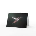 Hummingbird Note Card-Customize It! by phipix Hummingbird Note Card-Customize It!