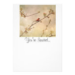Hummingbird on Flowering Cherry Tree Personalized Invite
