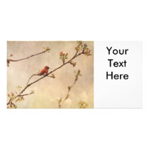 Hummingbird on Flowering Cherry Tree Photo Card Template