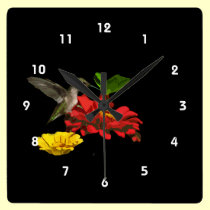 Hummingbird on Zinnias wall clocks