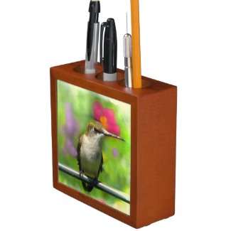Hummingbird Pencil Holder
