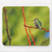 Hummingbird Perch III mousepads