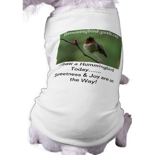 Hummingbird Pet Clothing