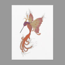 Hummingbird Phoenix postcards