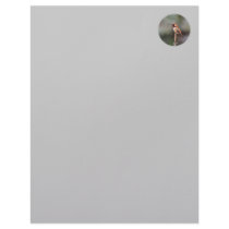 Hummingbird Photo Letterhead