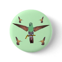 Hummingbird Pins