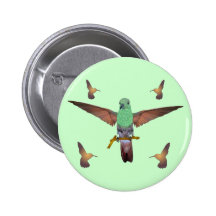 Hummingbird Pins