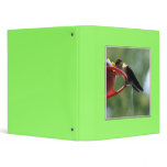 Hummingbird Poop! binders