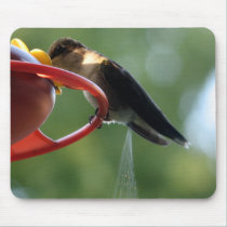 Hummingbird Poop! mousepads