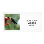 Hummingbird Poop! Photo Card