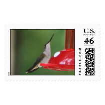 HUMMINGBIRD postage