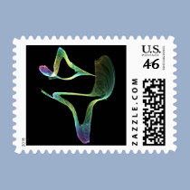 Hummingbird postage