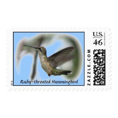 Hummingbird Postage by naturegirl7