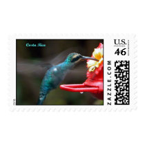 Hummingbird postage by amymolina Hummingbird postage