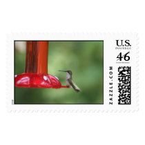 HUMMINGBIRD postage