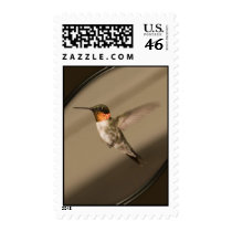 hummingbird postage