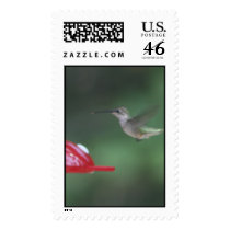 HUMMINGBIRD postage