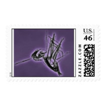 Hummingbird Postage Stamp