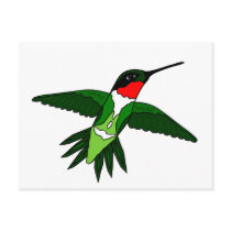 Hummingbird Postcard