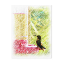 Hummingbird postcards by 777Images Hummingbird postcards