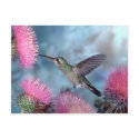 Hummingbird Postcard by postcardsfromtheedge Hummingbird Postcard