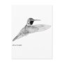 Hummingbird Postcards