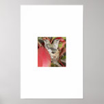 Hummingbird Posters