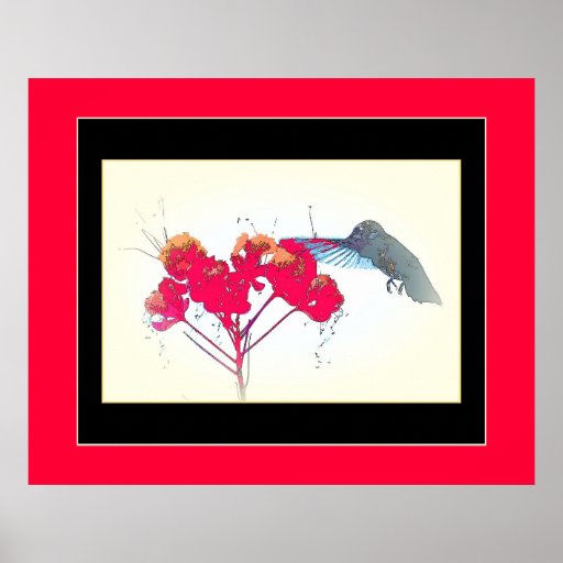 Hummingbird Poster