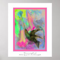 Hummingbird posters