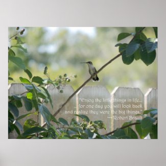 Hummingbird Poster with "Little Things" Quotation