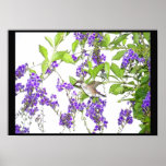 Hummingbird Print