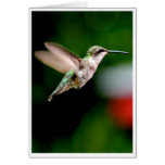 Hummingbird Queen Card
