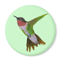 Hummingbird Refrigerator Magnets