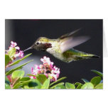 Hummingbird returns cards