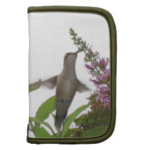 Hummingbird Rickshaw Folio Organizers
