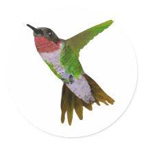 Hummingbird Round Sticker